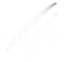 FIS Internationaler Skiverband